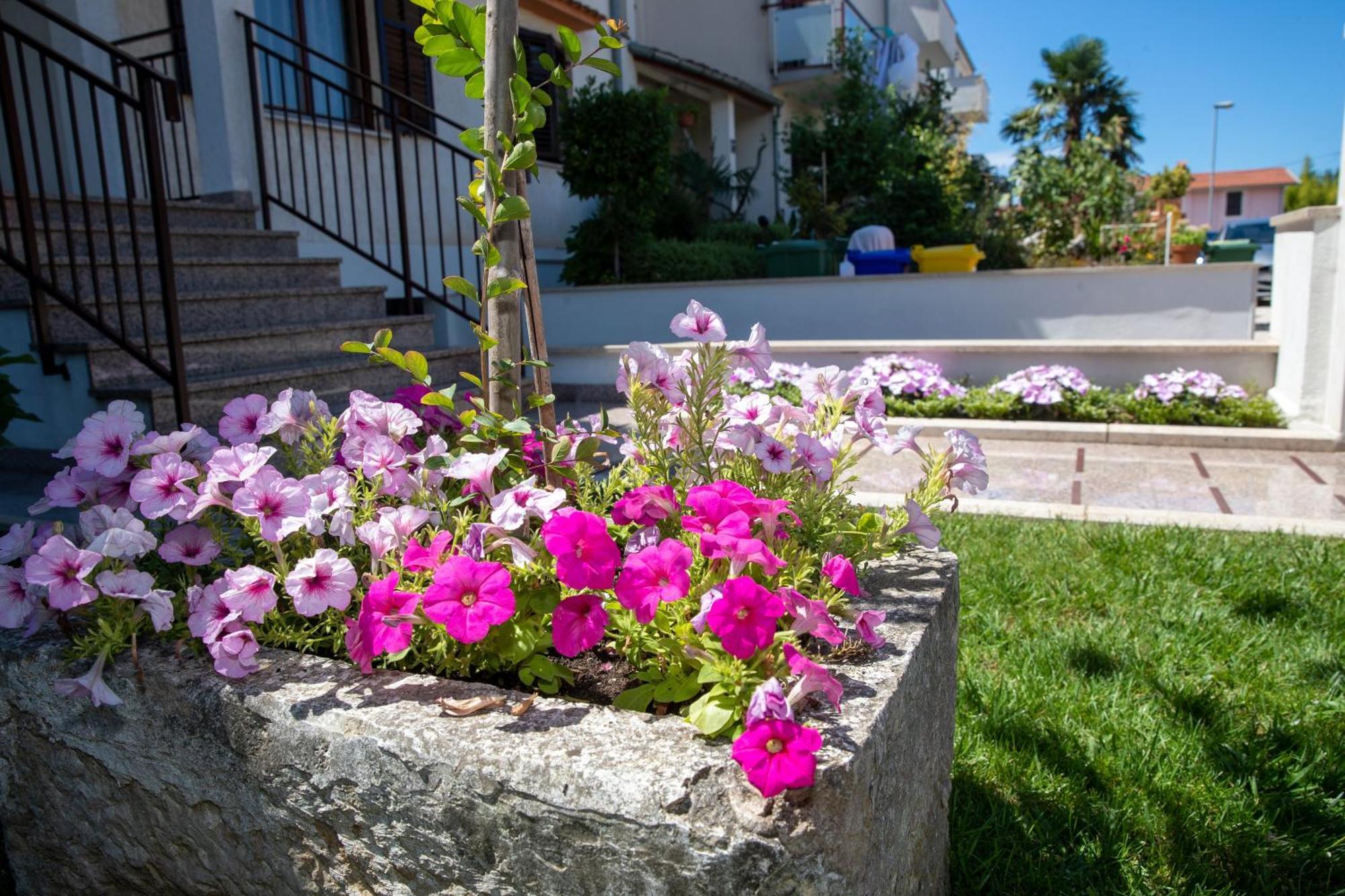 Studio Apartment Noah Rovinj Dış mekan fotoğraf